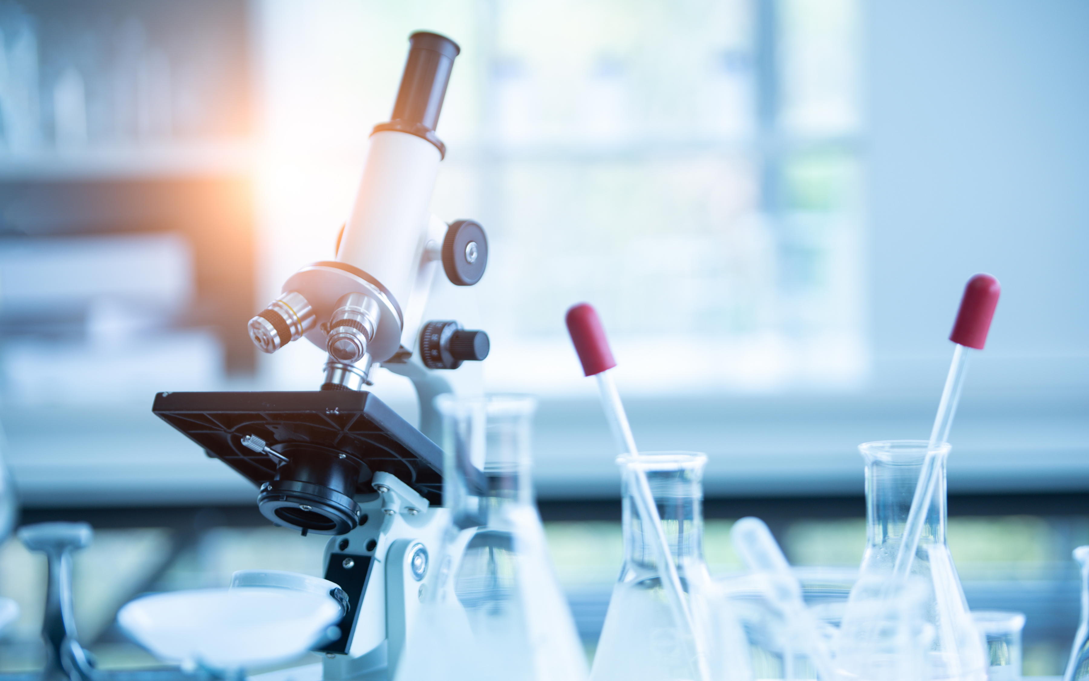 Laboratory testing